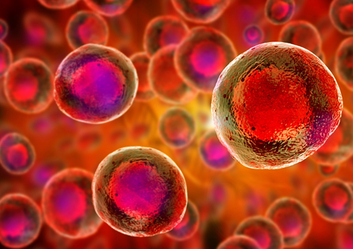 220914_bloodstemcell_1